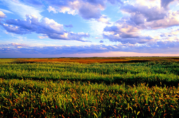 Xianghai national nature reserve