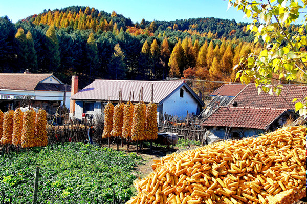 Jilin's agricultural products enjoy good sales at trade fair