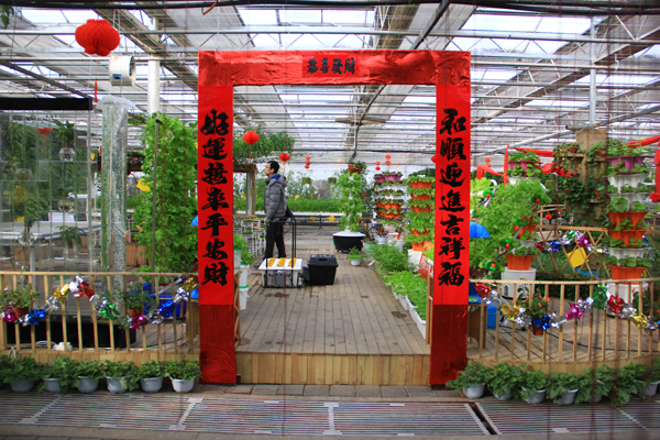 Changchun Winter Agriculture Expo opens in a festive mood