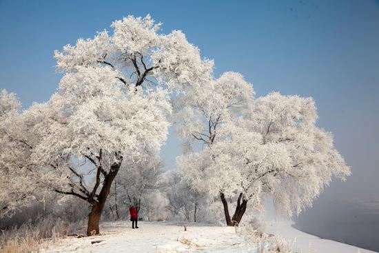 Jilin's tourism income reaches 6.18b yuan during Spring Festival