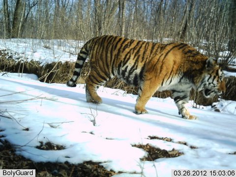 NE China nature reserves