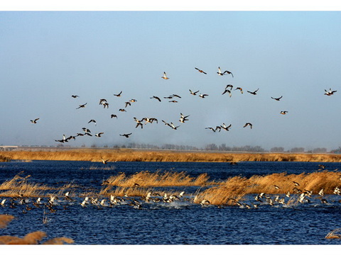 NE China nature reserves