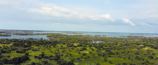 Bringing Jilin's wetlands back to life