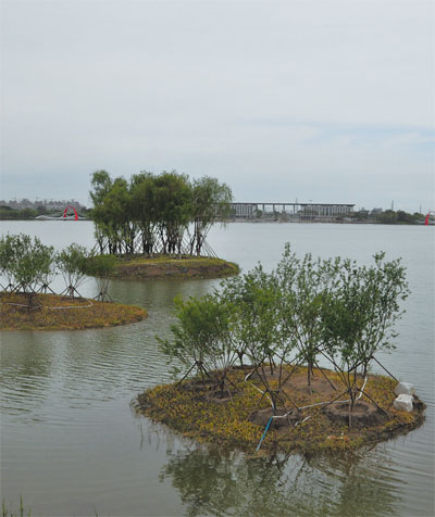 Bringing Jilin's wetlands back to life