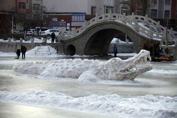 NE China snow crocodile catches tourists eyes