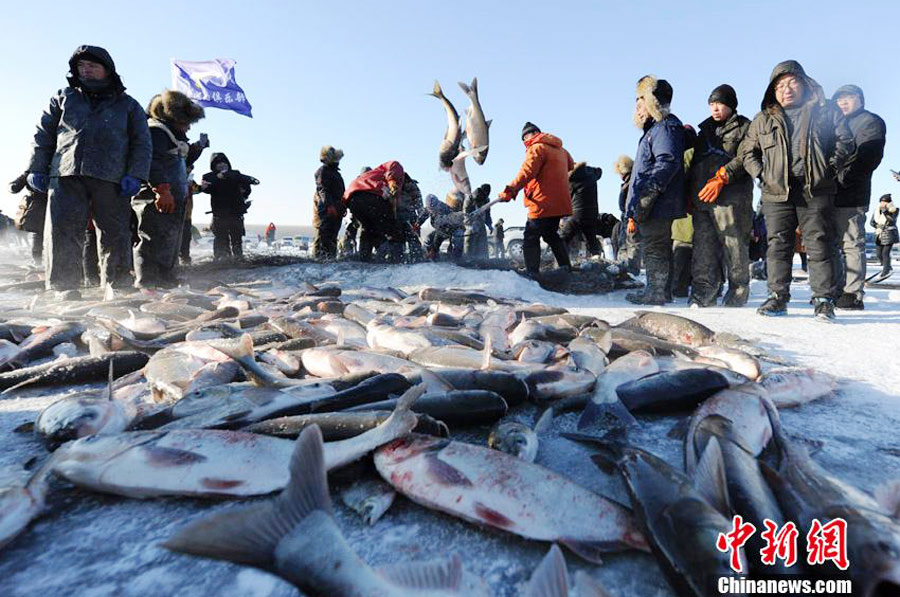 First fish at Chagan Lake's winter fishing earns $121,646