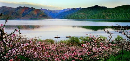 Tourist festivals: Dandong Hekou Peach Blossom Festival (Early May)