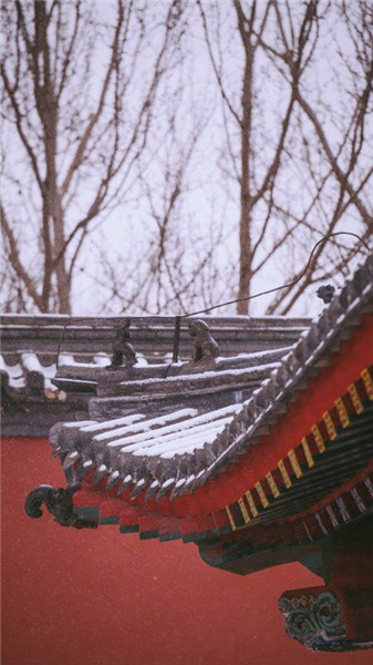 Snow turns Shenyang Imperial Palace Museum into fairytale land