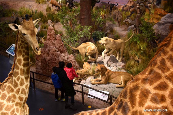 People enjoy exhibits at Behring Natural History Museum in Qingdao