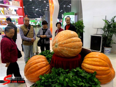 Giant Pumpkins