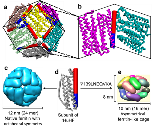 SXU molecular science institute releases latest finding