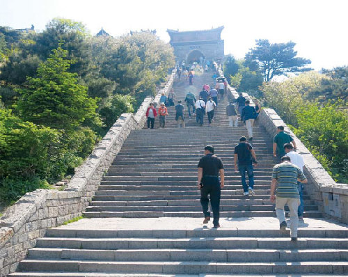 Mount Taishan selected as one of China's 38 forest oxygen bars