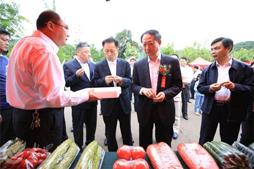 Annual festival promotes regional development