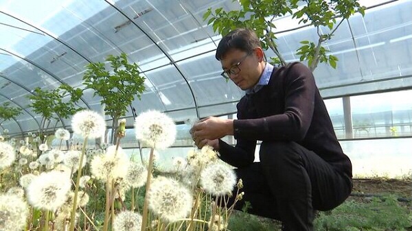 Scientific techniques bring prosperity in Tai'an farm