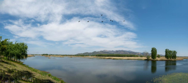 Wenhe River Wetland Park, a perfect place for recreation