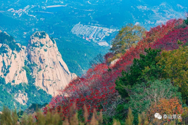 Autumn scenery captured on Mount Tai