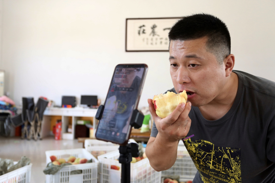 Feicheng enters peach-picking season