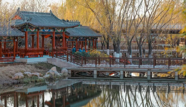 In pics: Fascination scenes of nature at West Lake in Tai'an