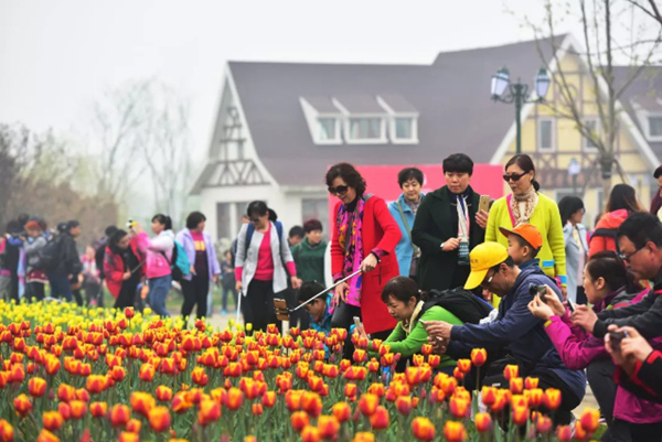 Tai'an sees tourism boom during Qingming Festival holiday