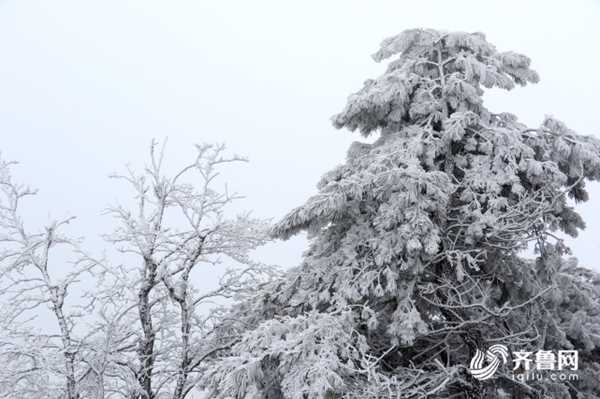 Mount Tai embraces first snow of New Year