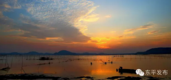 Two wetland parks in Tai'an gain national title