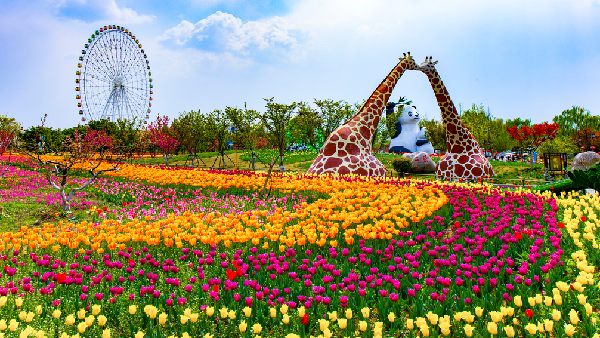 Places for admiring spring flowers in Tai'an