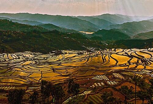 Magnificent view of Hani terraced fields in SW China