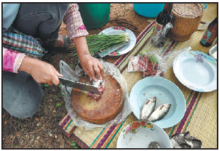 Doctors battle cancer-causing Thai fish dish