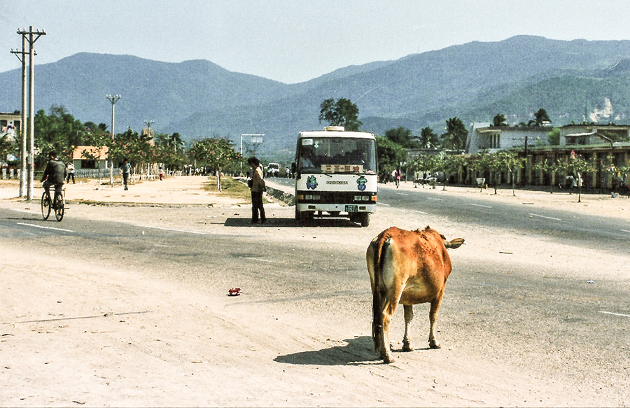 Hainan – China's tropical island destination