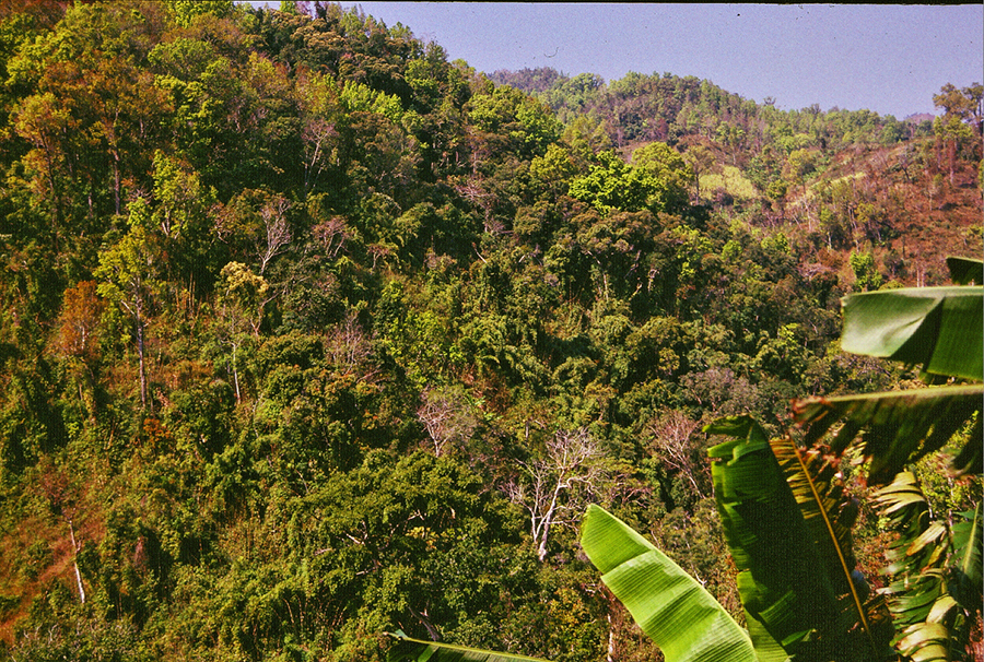 Discovering Hainan's tropical interior