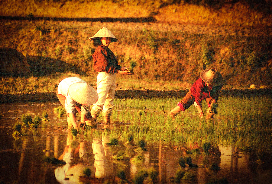 Discovering Hainan's tropical interior