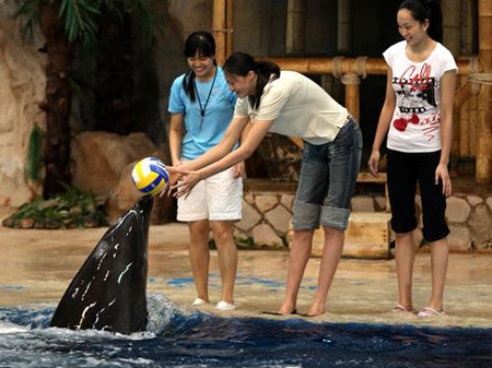 Volleyball star leads dolphin protection campaign