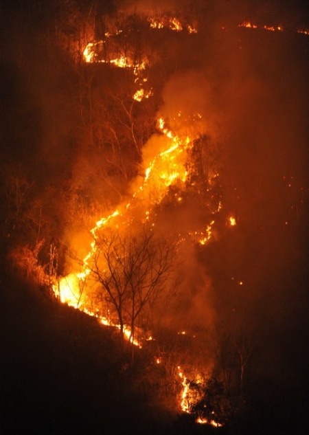 Forest fire burns in south China