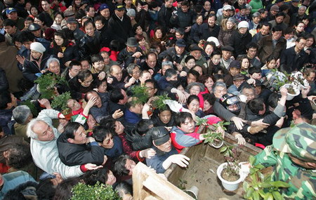 Free plants distributed in Wuhan