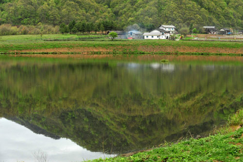 Shennongjia offers spring charm