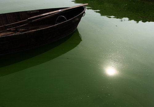 China's fifth biggest lake hit by bacteria