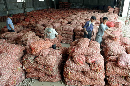 Price of fresh garlic rises day by day