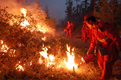 Combat with forest fire continues in NE China