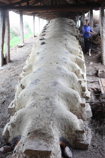 Dragon-patterned kiln of Ming Dynasty in E China