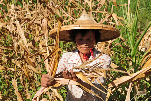 Drought worsens in Hainan