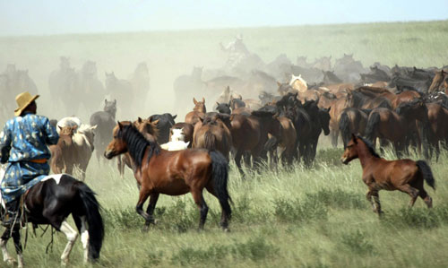 Ndamu Games come to life on the grassland