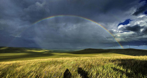 Beautiful scenes from Hulunbuir grassland