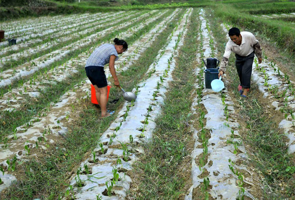 Over 630,000 suffer water shortage in Guizhou