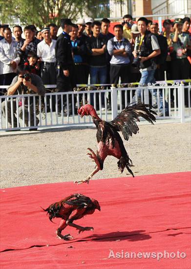 Ethnic games held in Xinjiang