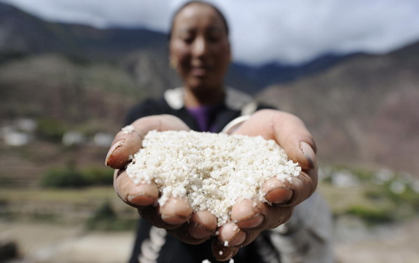 The sunshine and breeze work of drying salt