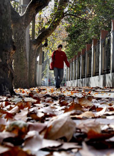 Cold wave sweeps E China's Shanghai