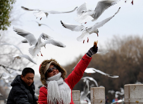 Cold wave hits S China's spring city