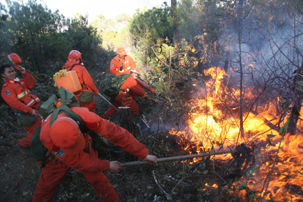 Forest engulfed in blaze; yet to be tamed