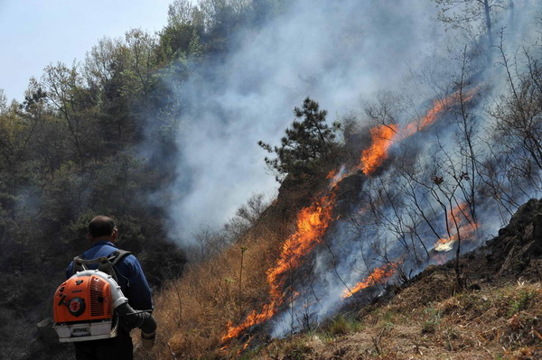 Mountain fire rekindled in E China