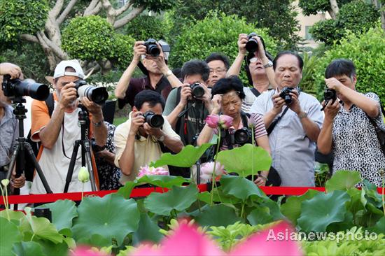 Twin lotus flowers bring romance to Fujian park